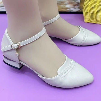 Zapatos de tacón grueso