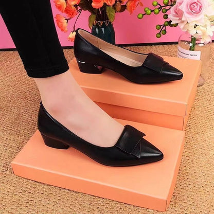 Zapatos de cuero puntiagudos